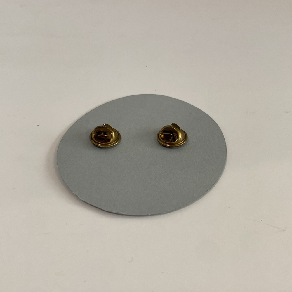 2000 Harley Owners Group Patch With Matching Pin - image 5